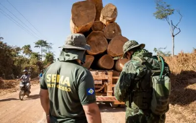 Com investimentos em tecnologia e ações estruturantes, MT está invertendo a curva do desmatamento ilegal, afirma secretária de Meio Ambiente