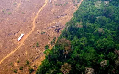 Combate ao desmatamento é uma das formas mais eficientes de o Brasil reduzir emissões de carbono
