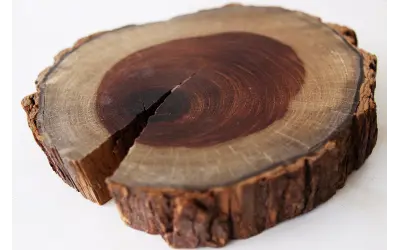Comércio internacional do jacarandá tem novas regras