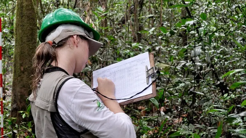 Como estamos a 17 anos da criação da Lei de Gestão de Florestas Públicas?