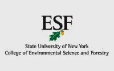 Como estudar Engenharia Florestal nos Estados Unidos