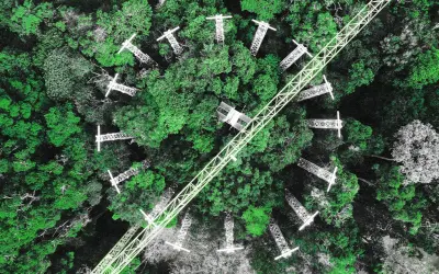 Como o AmazonFACE prevê o futuro