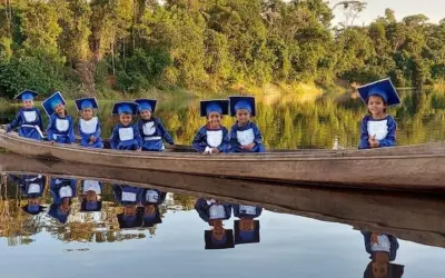 Como Projeto inspirado nos EUA - MIT planeja ajudar a Amazônia até 2031?