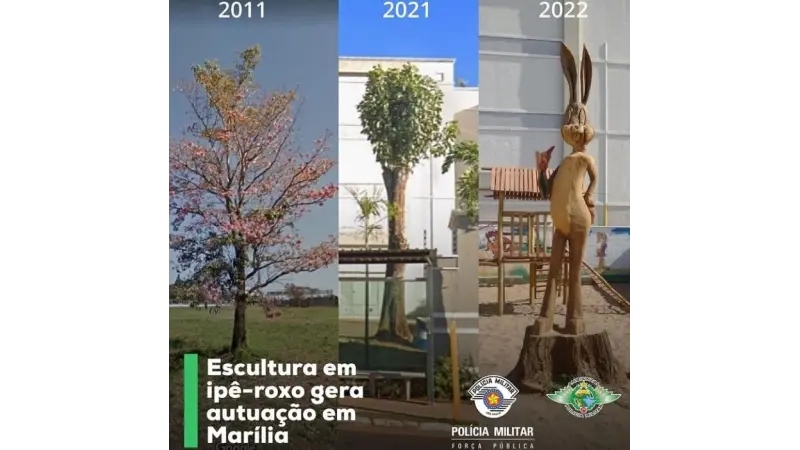 Como transformar um Ipê-roxo no Pernalonga?