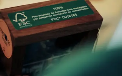 [CONCEITOS] Fique por dentro da Certificação Florestal .