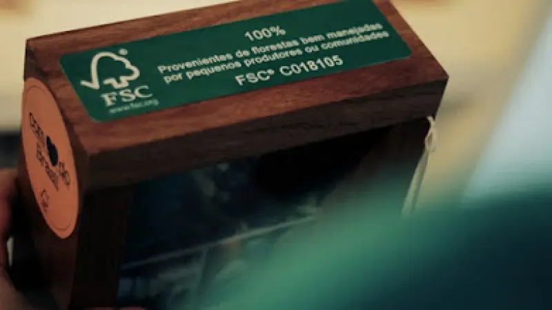 [CONCEITOS] Fique por dentro da Certificação Florestal .