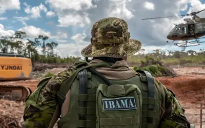 Concurso do Ibama é autorizado com 260 vagas de analista com salários a partir de R$10,7 mil