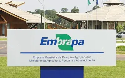 Concurso Embrapa 2024: 1.027 Vagas Imediatas e Novas Oportunidades para Todas as Escolaridades