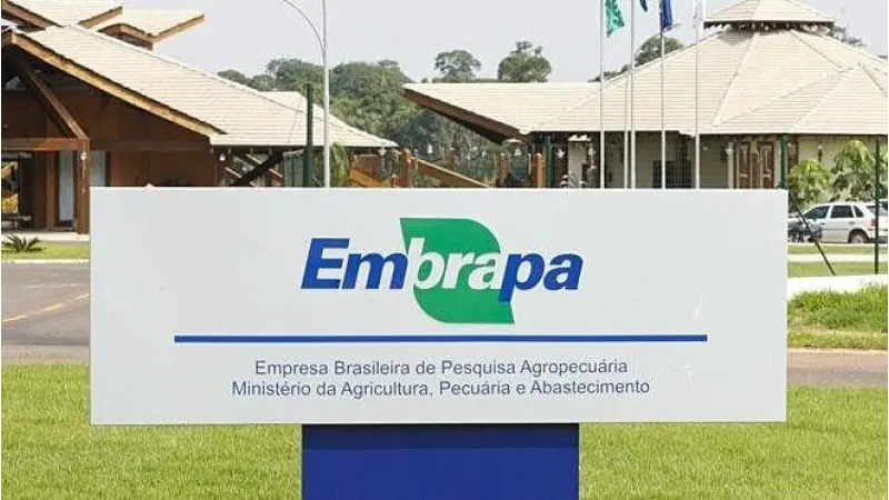 Concurso Embrapa 2024: 1.027 Vagas Imediatas e Novas Oportunidades para Todas as Escolaridades