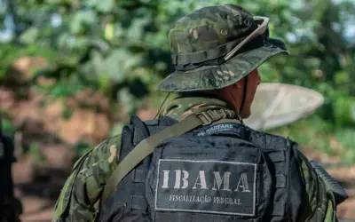 Concurso IBAMA 2025: Inscrições abertas! Veja vagas, salários e como se preparar