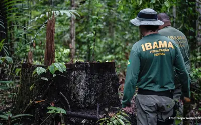 Concurso Ibama: resultados das provas são divulgados