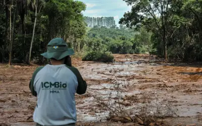 Concurso ICMBio 2024: Banca Definida e Novidades sobre o Edital com 350 Vagas