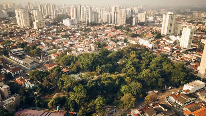 Muito Além do Verde: Como o CEP e o gênero definem nossa conexão mental com a natureza