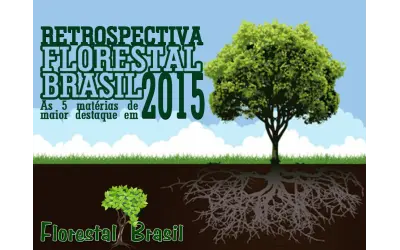 Confira as matérias mais acessadas de 2015