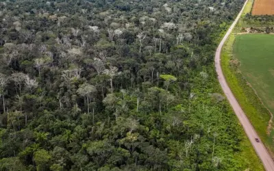Congresso Internacional da Natureza quer proteção de 80% da Amazônia até 2025