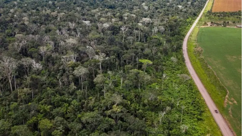 Congresso Internacional da Natureza quer proteção de 80% da Amazônia até 2025