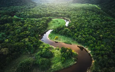 Conheça as Paisagens Florestais Mais Surreais do Mundo