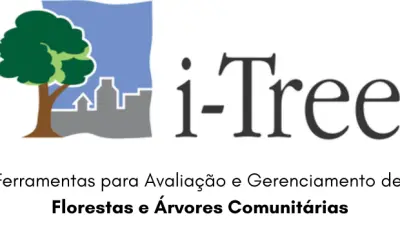 Conheça o i-Tree, a ferramenta para árvores urbanas e rurais