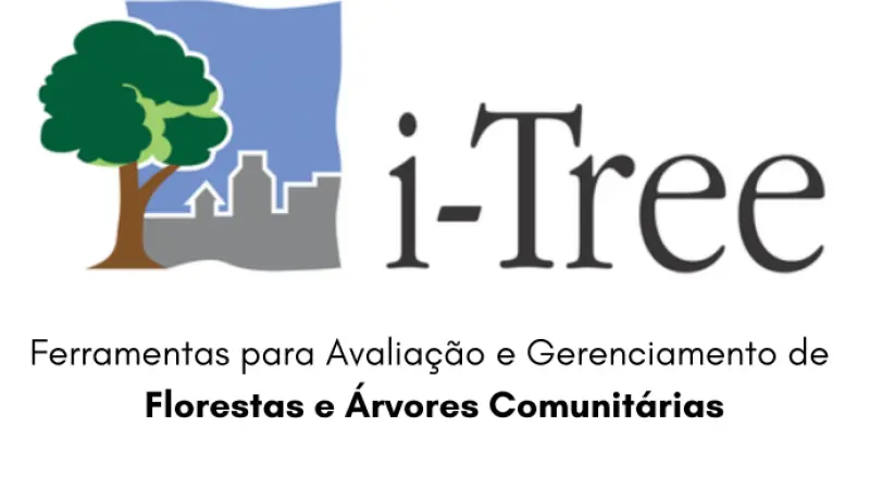 Conheça o i-Tree, a ferramenta para árvores urbanas e rurais