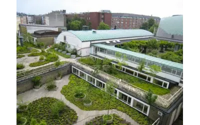 Copenhague é a segunda cidade a tornar obrigatório os telhados verdes