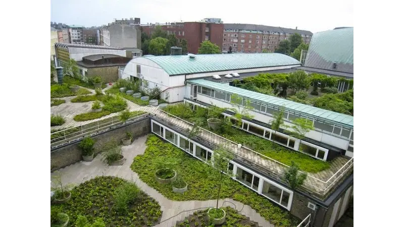 Copenhague é a segunda cidade a tornar obrigatório os telhados verdes