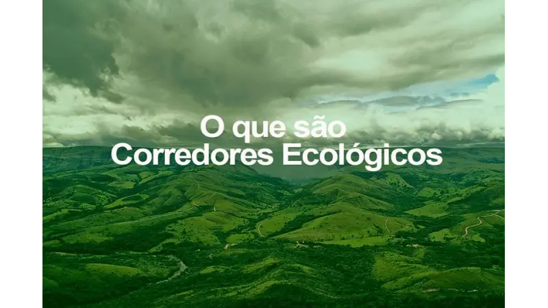 Entenda o que são Corredores Ecológicos