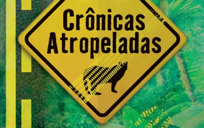 17 vidas por segundo: um livro que transforma a tragédia das rodovias em esperança e ação