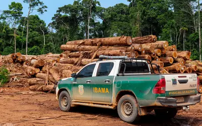 Novo Cronograma do Concurso IBAMA 2024: Confira as Datas Atualizadas e Prepare-se!