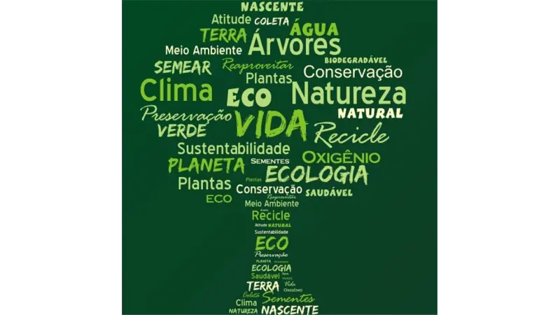 CURIOSIDADE: Por que o Dia Mundial do Meio Ambiente é comemorado em 05 de junho?
