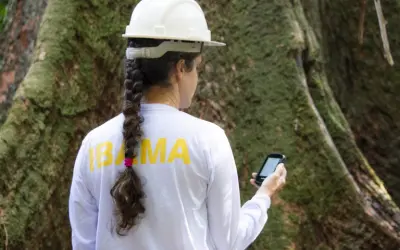 Curso de Manejo Florestal Sustentável a órgãos ambientais