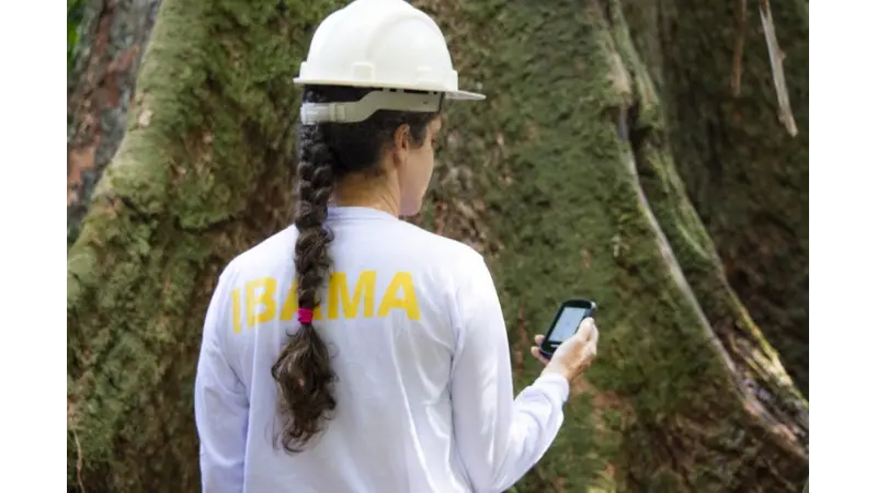 Curso de Manejo Florestal Sustentável a órgãos ambientais