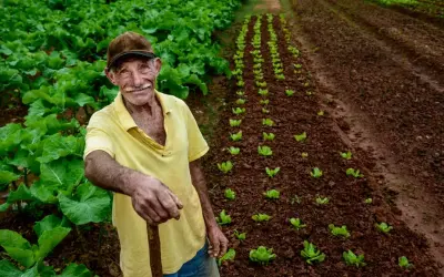 Da agroecologia à regeneração florestal: novo livro revela o potencial da agricultura familiar no combate à crise climática