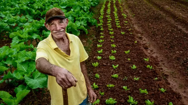 Da agroecologia à regeneração florestal: novo livro revela o potencial da agricultura familiar no combate à crise climática