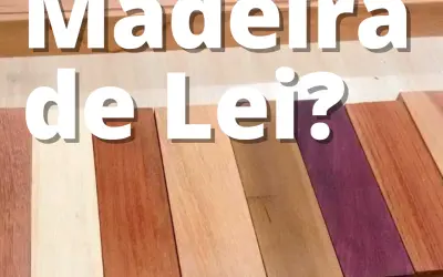 De onde surgiu o termo madeira de lei?