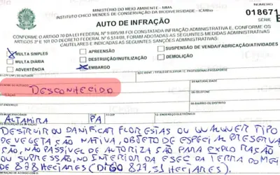 De quem é esse desmatamento?