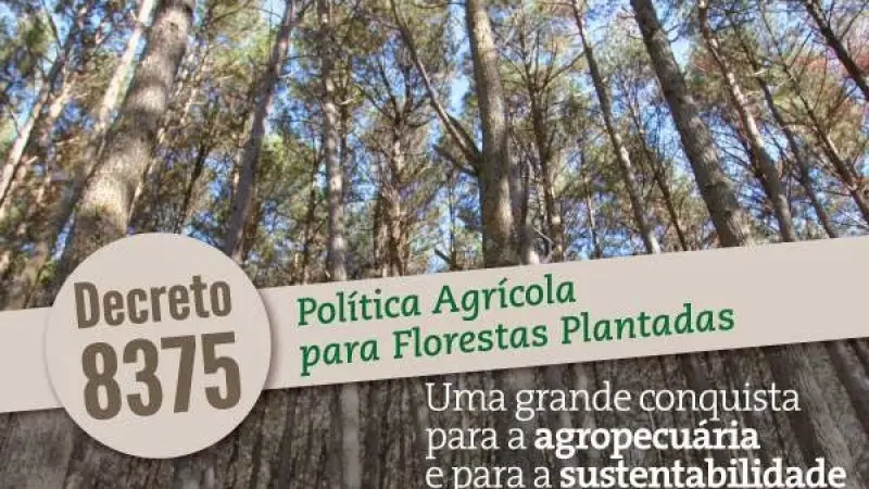 Decreto estabelece os princípios e os objetivos da Política Agrícola para Florestas