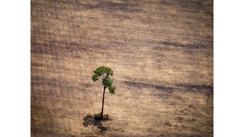 Defesa anuncia R$ 80,5 mi e novo radar contra desmate na Amazônia