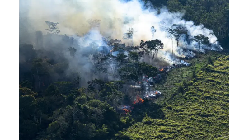 Defesa inaugura antena para ajudar a monitorar o desmatamento na Amazônia