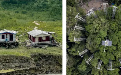 Ameaça na Base da Pirâmide: Degradação amazônica impacta diretamente a cadeia alimentar das populações vulneráveis