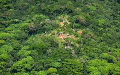 Demarcação de terra indígena favorece reflorestamento na Mata Atlântica