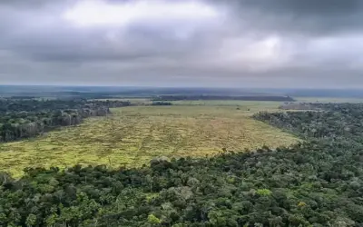 Deputados de MT aprovam lei que pode gerar desmatamento de 5 milhões de hectares