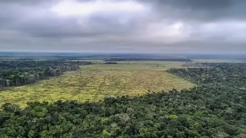 Deputados de MT aprovam lei que pode gerar desmatamento de 5 milhões de hectares
