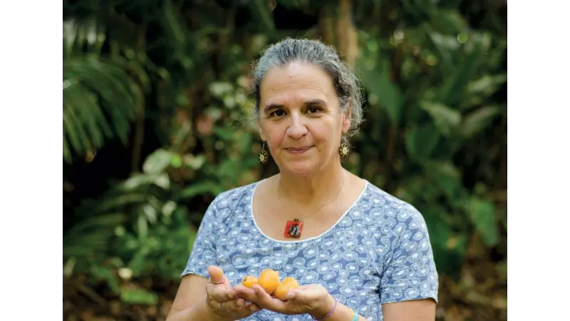 Desafios amazônicos