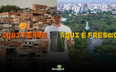 Desigualdade Verde: Por que o "ar condicionado natural" das cidades é um privilégio de poucos?