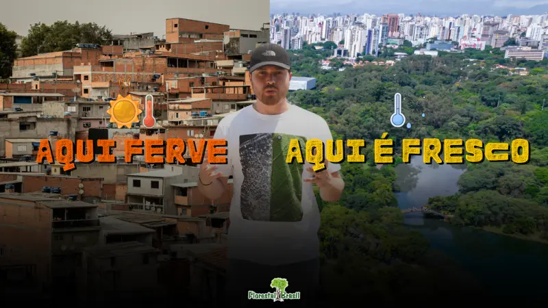 Desigualdade Verde: Por que o "ar condicionado natural" das cidades é um privilégio de poucos?