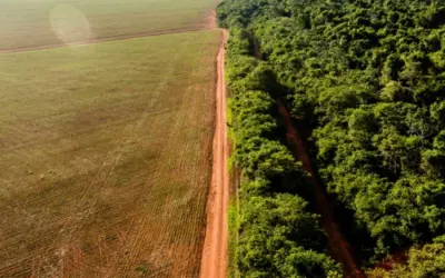 Desmatamento da Amazônia cresce 60% em junho, comparado ao ano passado