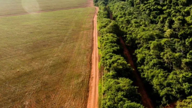 Desmatamento da Amazônia cresce 60% em junho, comparado ao ano passado