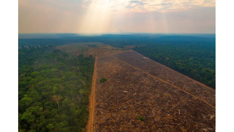 Desmatamento da Amazônia no Brasil sobe 22% e atinge maior alta em 15 anos