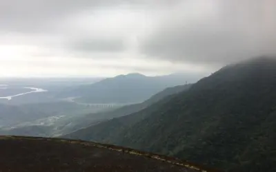 Desmatamento da Mata Atlântica é o menor registrado desde 1985