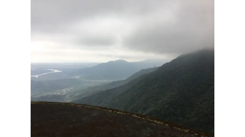 Desmatamento da Mata Atlântica é o menor registrado desde 1985